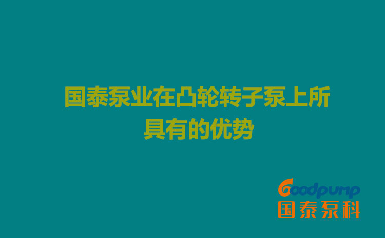 柠檬视频下载APP网站泵业在凸轮柠檬视频入口线路3上所具有的优势